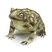 Bristol Novelty AK049 Rubber Toad Prop