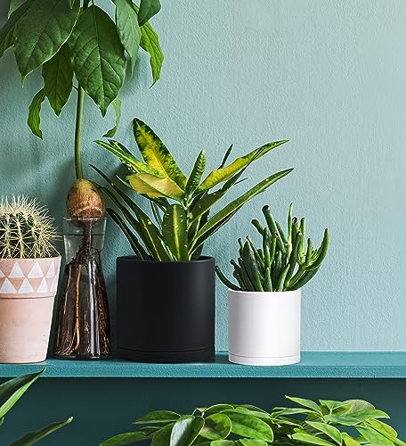 D'vine Dev 6 Pack 4.5 Inch Modern Plastic Plant Pots, Small Garden Planters for Plant with Drainage Holes and Saucers, White Color, 74-Z-F-3 by D'vine Dev - Image 6
