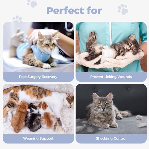 Avont Katzenbody nach OP Erholungsanzug Kleidung Modal Recovery Kastration Spay Entwöhnung Leckschutz Suit für Katze, Bauchwunden oder Hautkrankheiten -M/Lila