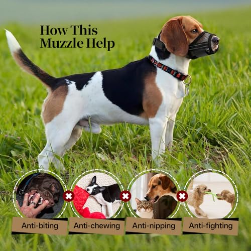 Image of 2 Pack Dog Muzzle, Soft Mesh Muzzles for Small Medium Large Dogs, Breathable Pet Muzzle Adjustable Dog Mouth Guard for Biting Chewing Grooming, Allow Drinking Panting, Black L