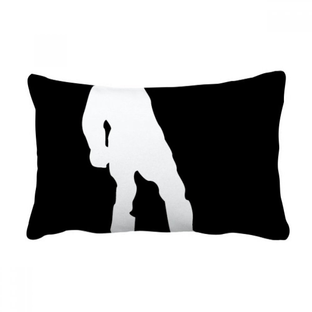 Coussin planche à roulettes sport pour décorer un canapé de salon moderne
