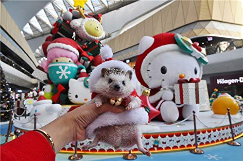 Disfraz para erizo Navidad Santa Claus talla XS miniatura 3