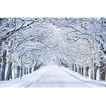 Winter Poster Scene Christmas Snow Pictures Decor Cool Wall Art Print Poster 16x24