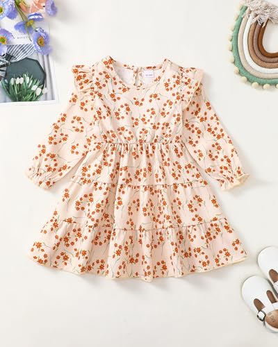Toddler Girl Dress Clothes Ruffle Long Sleeve Casual Dress Floral Boho Outfits Cute Winter Fall Girls Dresses3