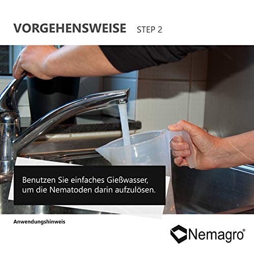 Nematoden Nemagro SF zur Bekämpfung von Trauermücken und Ameisen