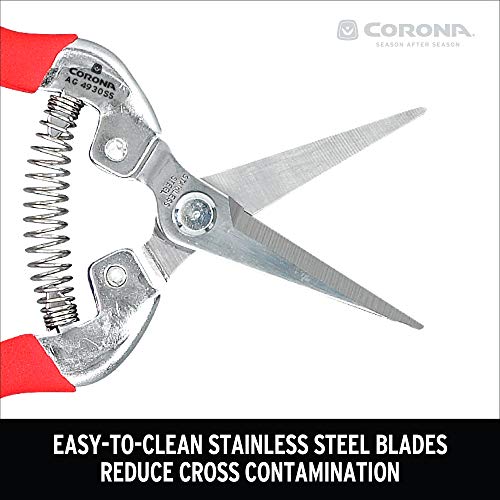 Corona AG 4930SS Long Straight, Stainless Steel Snip