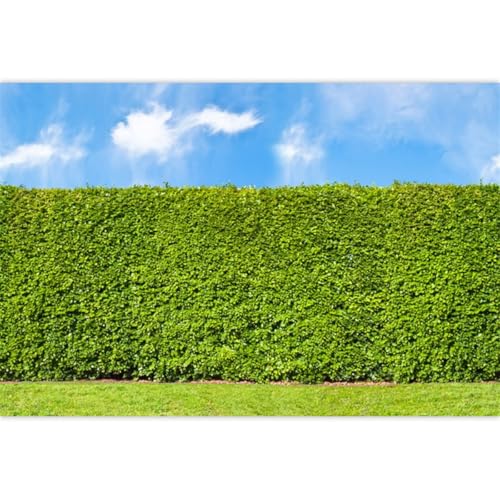 Duluxykl 7x5FT Green Leaves Backdrop, Nature Greenery Wall Backdrops, Blue Sky and Grass Photography Background, Birthday Wedding Newborn Baby Shower Decoration Supplies, Polyester Fiber