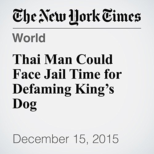 Thai Man Could Face Jail Time for Defaming King's Dog cover art