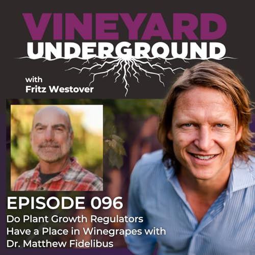 096: Do Plant Growth Regulators Have a Place in Winegrapes with Dr. Matthew Fidelibus