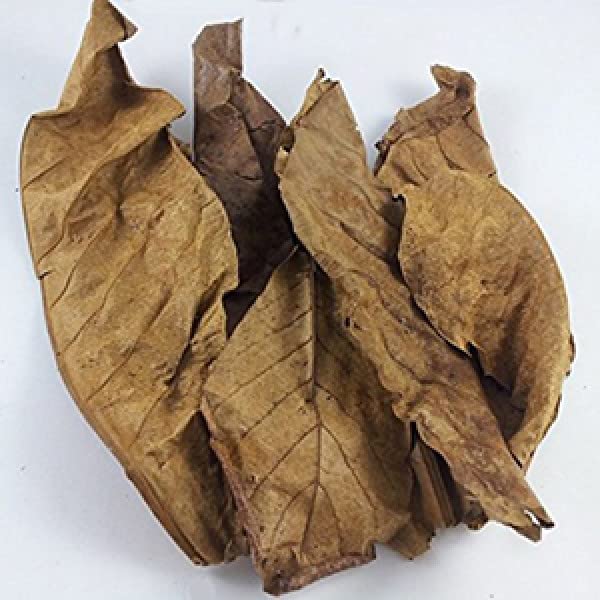 Retail Charms, Indian 15 Natural Dried Almond Leaves, A+ Catappa, Ketapang for Betta Shrimp Discus Tetra Crab for Aquarium (B0C1CTR2WB) Amazon Price History, Amazon Price Tracker