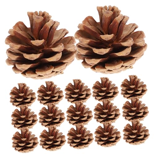 ULTECHNOVO 48pezzi Ornamento Natalizio Pigne Secche Di Pigne Essiccate Naturali Decorazioni Natalizie Da Appendere in Marrone Varie Misure Da Adatte a Fioristi e Creativi Possono Essere