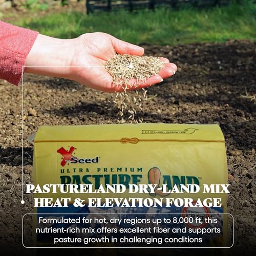 Forage Crop Seed Blends For Cattle Feed Temperate Climates