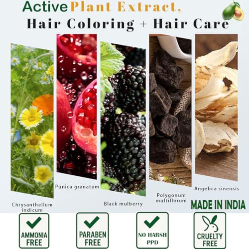 Image of Adbeni Natural Black Hair Color Shampoo with Conditioner for Men & Women | 5 Minute Grey Coverage | Ammonia Free, No Harsh PPD | Herbal Hair Dye Shampoo | 25ml x 5 Sachets