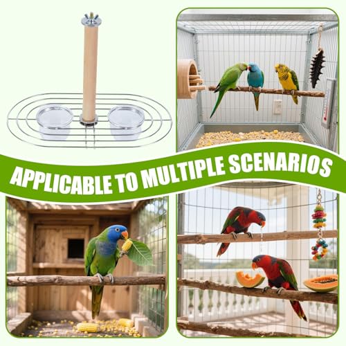 Bols à oiseaux pour cage transparents évitant les salissures - 6