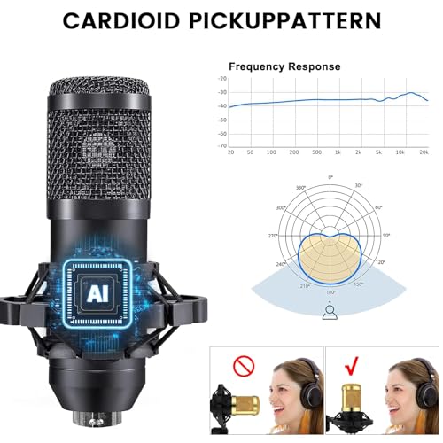 Interface audio avec micro cardioïde BM800 pour joueur