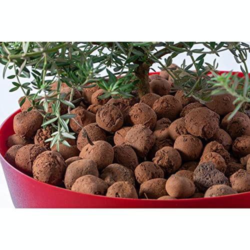 Argila Expandida 1 Kg. West West Garden