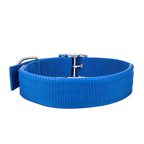 Fragralley Adjustable Metal Buckle Dog Collars For Medium Large Xlarge Dogs, Classic Solid Color Tough Nylon Collar, Neck 14"-25", Padded Wide Pet Collars For Dogs #TOP2