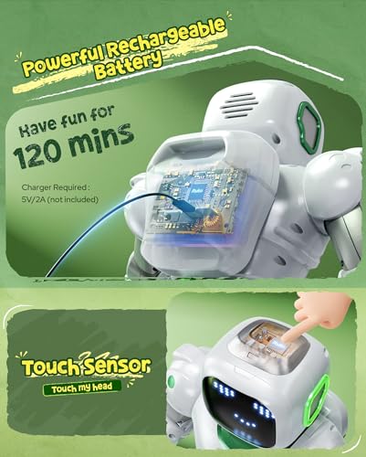 Large Programmable Interactive RC Robot