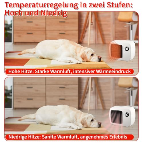 Wandmontierter Kleiner Heizlüfter - Zweistufig Regelbarer, Temperaturgesteuerter Energiespar Kater Hundehüttenheizer mit Reißschutz, Integriertem Haarschutznetz - Niedrigem Geräuschpegel