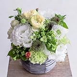 フローリストせきど フラワーアレンジメント Mサイズ (ホワイト&グリーン) 総理大臣賞受賞デザイナー監修 花束 花 生花 フラワー ギフト プレゼント 贈り物 誕生日 お祝い 結婚記念日 退職祝い 白 緑
