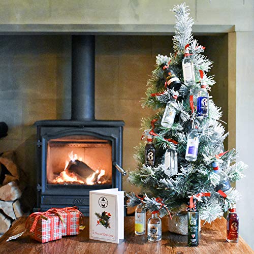 12 Gins of Christmas Bauble and Gin Tasting Gift Set with randomly selected 5cl Miniature Gins