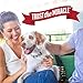 Nature's Miracle Advanced Dog Stain and Odor Eliminator Spray, Severe Mess Enzymatic Formula, 1.33 gal