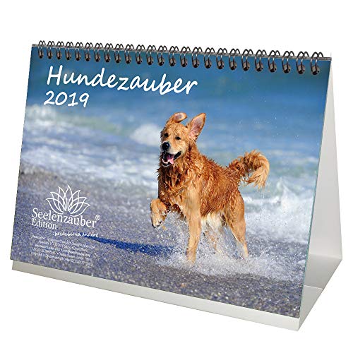 Télécharger Chien magique – DIN A5 – Premium Calendrier de bureau/calendrier 2019 · Chien Chiot – Livre eBook France