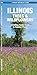 Illinois Trees & Wildflowers: A Folding Pocket Guide to Familiar Species (Pocket Naturalist Guide Series)