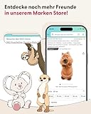 NICI Dein Schutzengel Kuscheltier Bär La La Bearie 28cm in Geschenkbox - Teddybär klein, Niedliches Stofftier zum Kuscheln und Spielen, Plüschtier für Schmusetierliebhaber - 61184