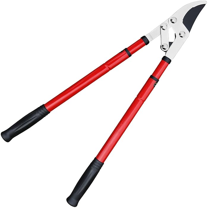 Buy Gardtech Extendable Anvil Loppers, 2538'' Telescopic Heavy Duty