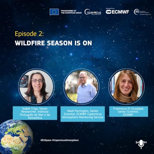 Wildfire Season is on