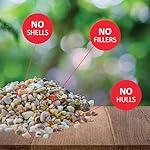 Lyric Fine Tunes Wild Bird Seed - No Waste Bird Food Mix - Attracts Bluebirds, Finches, Chickadees & More - 15 lb. Bag - Image 5