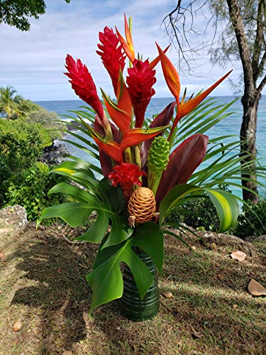 Large Hawaiian Tropical Fresh Flower Arrangement - Grown In Hana, Hawaii To Organic Standards - Includes Bold Tropical Flowers & Greenery - A Total Of 20 Stems! #TOP2