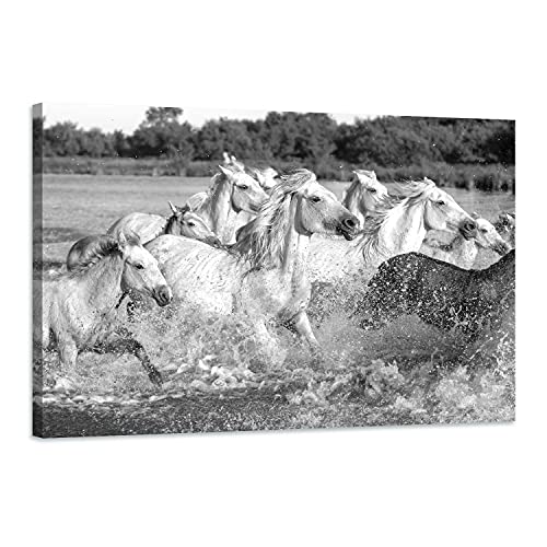 Arjazia Tableau Chevaux Noir et Blanc - Décoration Murale - 75x50cm et 120x80cm - Impression Haute Résolution sur Toile - Toile Tendue sur Un Cadre en Bois...
