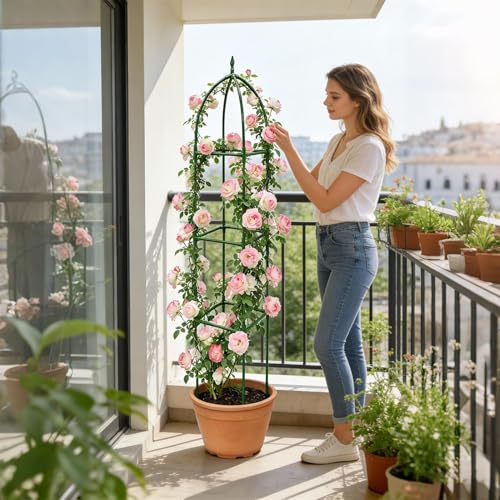 Enrejado exterior plantas trepadoras para solucionar la falta de intimidad en el jardín 4