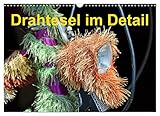 Drahtesel im Detail (Wandkalender 2023 DIN A3 quer), Calvendo Monatskalender