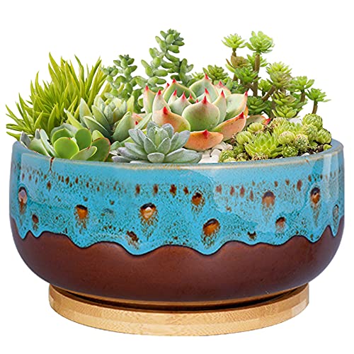 Product Image of the MPotTo 8 Inch Succulent Planter Pot Ceramic Round Shallow Planter Blue Flower Pot with Drainage Hole and Bamboo Tray