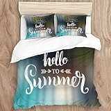 Ensemble de housse de couette Dites bonjour à Summer Fun Quote Design Logo Label Summer Holiday Travel Nature 1 housse de couette & 2 taies d'oreiller en microfibre ultra douce de qualité supérieure p