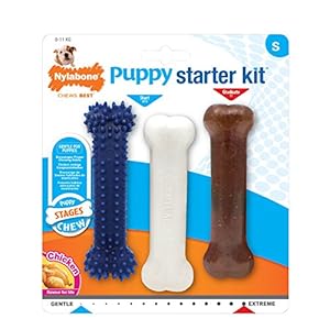 Nylabone Puppy starterset, set van 3 stuks tandheelkundige hond kauwbeenderen, tandjes, zacht, afgestudeerd, klein, voor puppy’s tot 11 kg