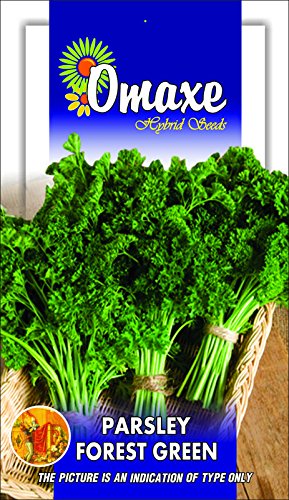 Parsley Forest Green (B07FF2N2H7) Amazon Price History, Amazon Price Tracker