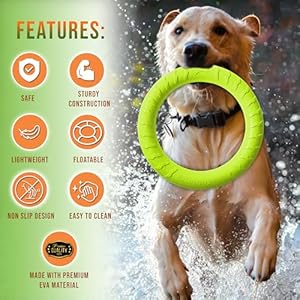   Forest-Twelfth-Set-of-2-Dog-Rings-Dog-Ring-Toy-Set-Agility-Training-Equipment-for-Dogs-Puppies-Outdoor-Dog-Toys-Flying-and-Floating-Dog-Exercise-Equipment-Complete-with-Training-Whistle
