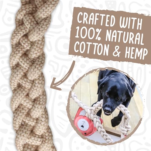 Hugglehounds Durable : jouet mastication résistant et peluche solide chien