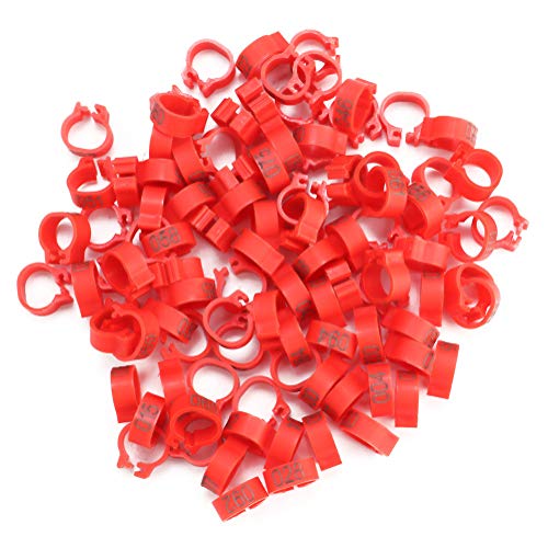 Anillos de bandas de patas de aves, 100PCS/Bolsa 8MM Plástico Letra de...