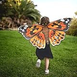 Insect Lore Butterfly Painted Lady Dress-up Wings - Pretend Play Costume for Kids