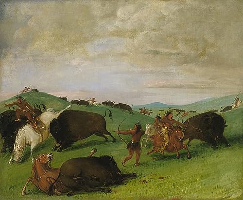 Cuadro sobre lienzo de George Catlin animal haciendo batalla en salón 60x90cm