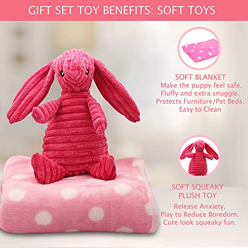 SoSoCute Pinke Hunde-Geschenkbox – Kauspielzeug für Welpen, Set mit 5 Stück – Welpenpflege-Paket mit Hundedecke, Gummi-Beißring, Ball zum Beißen und Leckerli-Ball für kleine und mittelgroße Hunde