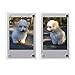 FoRapid 2 PCS 3-inch 2-Sided Clear Acrylic Refrigerator Magnetic Photo Frame-Elegant Frameless Display Fujifilm Instax Mini 9 8 8+ 70 7s 90 25 26 50s Film/Cards/Memos/HP pocket Photo Paper/2x3 Photo