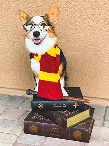ComfyCamper Red Yellow Striped Scarf Dog Costume – X Large Medium Small French Lab Clothes Cosplay Halloween Costumes, S, Red ComfyCamper Red Yellow Striped Scarf Dog Costume – X Large Medium Small French Lab Clothes Cosplay Halloween Costumes, S, Red