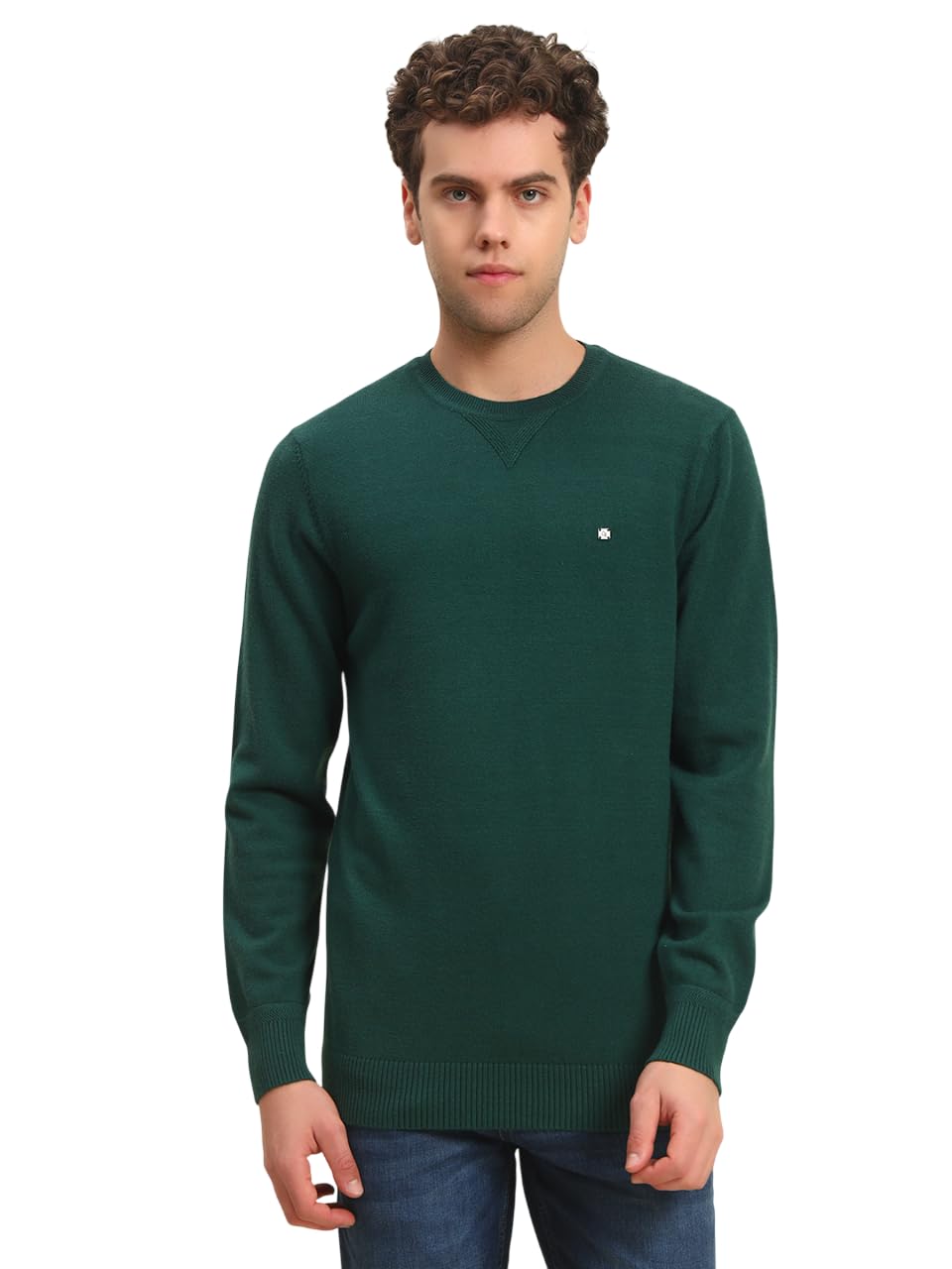 cantabil Sweater for Men Green-picture-37