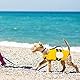 Hundeschwimmweste Einstellbare, XiXiRan Schwimmweste für Hunde, Schwimmweste Hund mit Griff, Haustier Rettungsweste, Hundeweste Reflektierende, Rettungsweste Reflektierende Lifesaver Mit Auftrieb